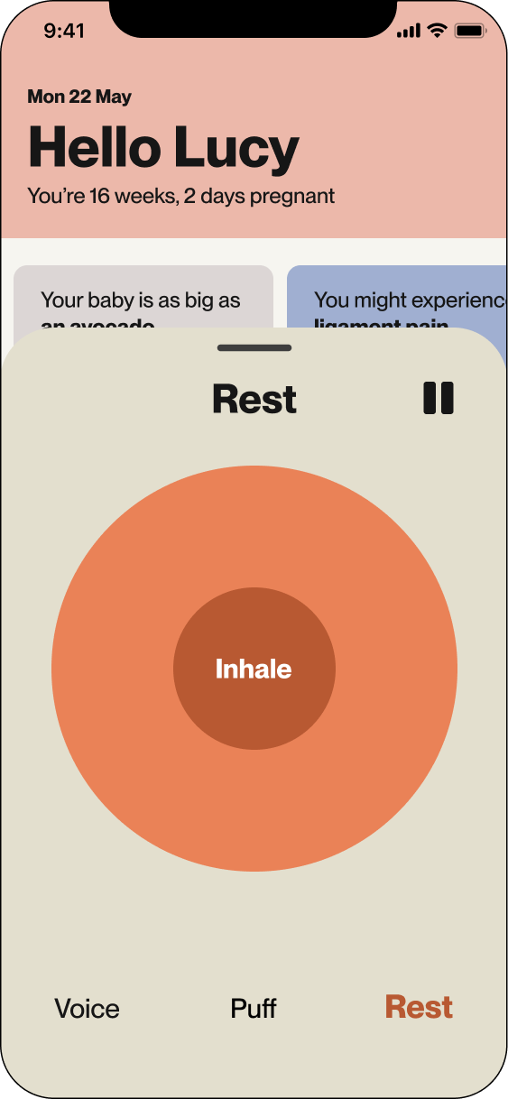 Audio rest screen showing breathing exercise with 'Inhale' prompt and pause, voice, puff, and rest options.