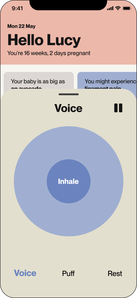 Audio voice screen showing breathing exercise with 'Inhale' prompt and pause, voice, puff, and rest options.