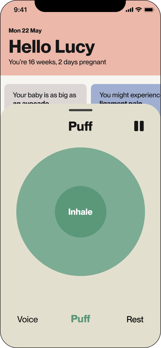 Audio puff screen showing breathing exercise with 'Inhale' prompt and pause, voice, puff, and rest options.